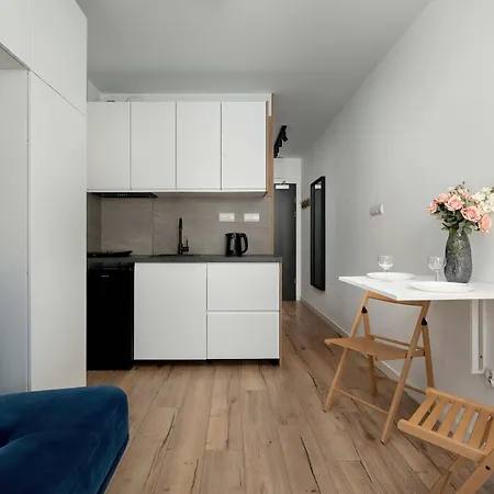 Funkcjonalny Akceptujacy Zwierzeta We Wroclawiu By Renters Apartamento *