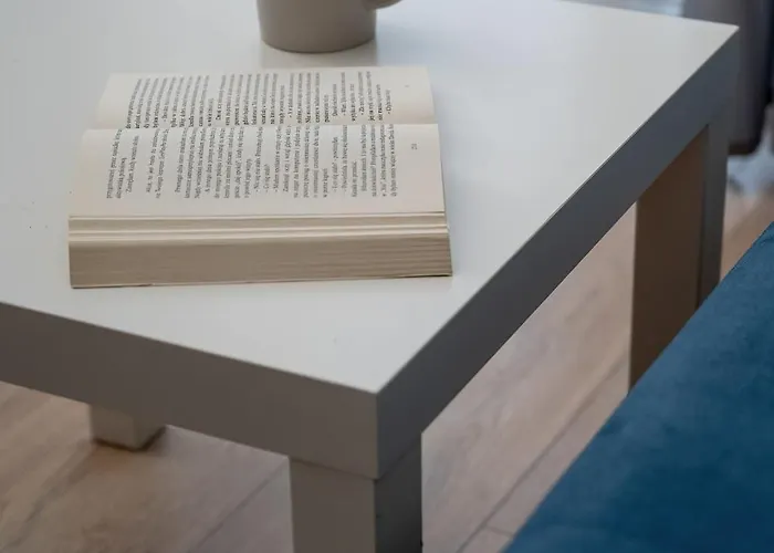 Funkcjonalny Akceptujacy Zwierzeta We Wroclawiu By Renters Apartamento *