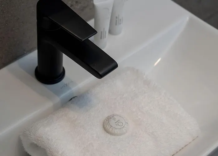 Funkcjonalny Akceptujacy Zwierzeta We Wroclawiu By Renters * Breslavia